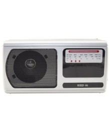 радиопр "ЭФИР - 06" УКВ 64-108МГц, СВ, КВ, бат.2*R20 (не в комплек.)  220ВНовокузнецк, Ленинск-Кузнецк, Барнаул, Горно-Алтайск, Бийск, Томск и др. Bluetooth приемник  оптом.