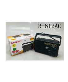 радиопр RAISENG R-612AC black питание батарейки/220В