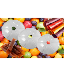 Сушилка для овощей и фруктов Ветерок-2  поддон для пастелы ЗЭБИ.754851.016