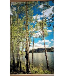 Обогреватель настенный Березки (500Вт, 105*60см) /20лянные обогреватели, тепловентиляторы оптом  в Новосибирске, доставка в регионы. Сушилки для обуви.