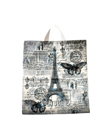 пакет петл.ПВД  28*35/55 мкм Парижский день (уп.25) (529435)