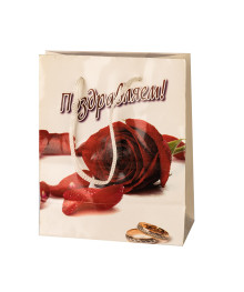 пакет подар бум 18*23  Поздравляю (73348)