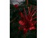 6FTTRAD-6.jpg